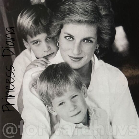 A Tribute to the People’s Princess - Hardcover about Princess Diana - Picture 4 of 10